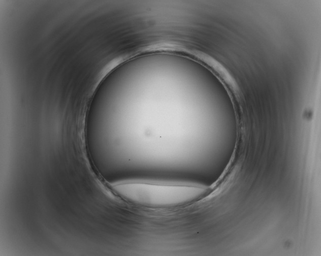 X0000103261337200808291034