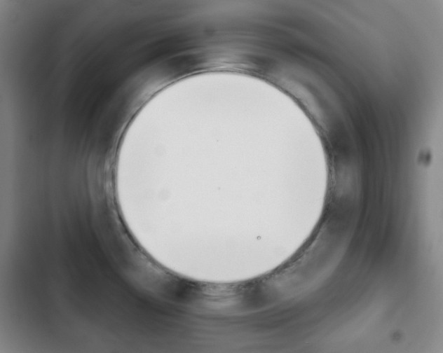 X0000103261338200808291034