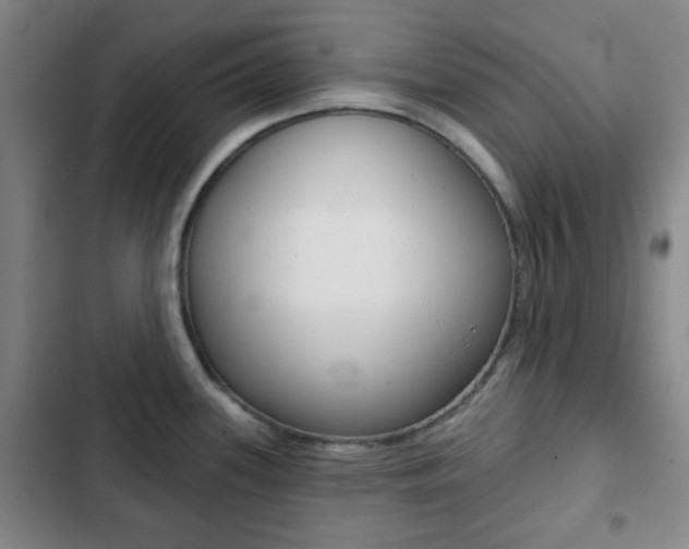 X0000103261339200808291034