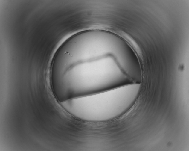 X0000103261340200808291034