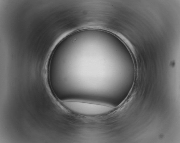 X0000103261341200808291034