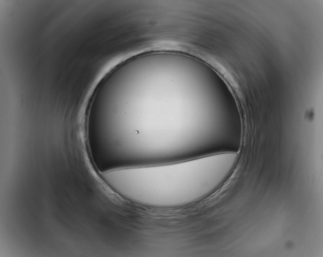 X0000103261342200808291034