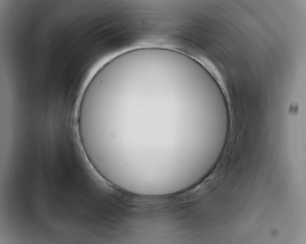 X0000103261344200808291034