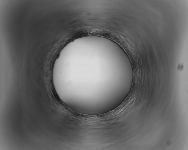 X0000103261345200808291033