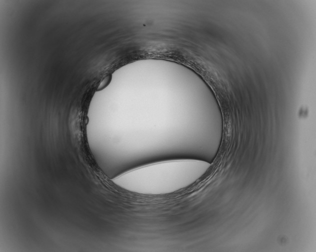 X0000103261346200808291033
