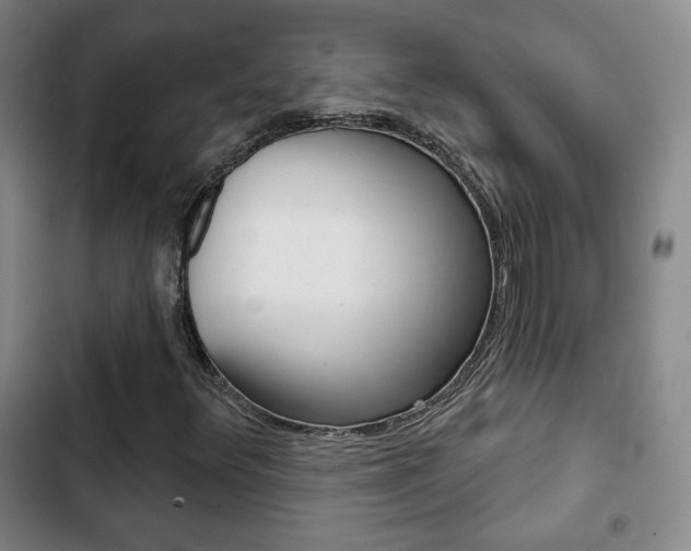 X0000103261348200808291033
