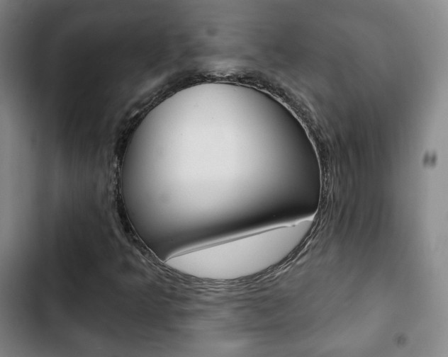 X0000103261349200808291033