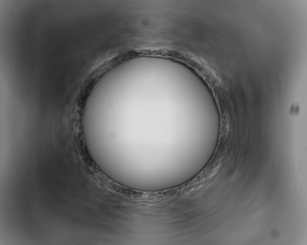 X0000103261350200808291033