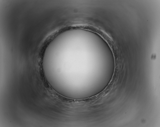 X0000103261351200808291033