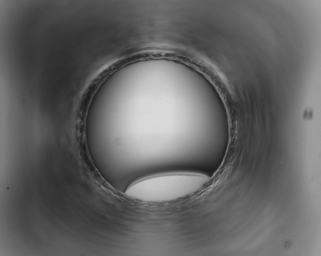 X0000103261352200808291033