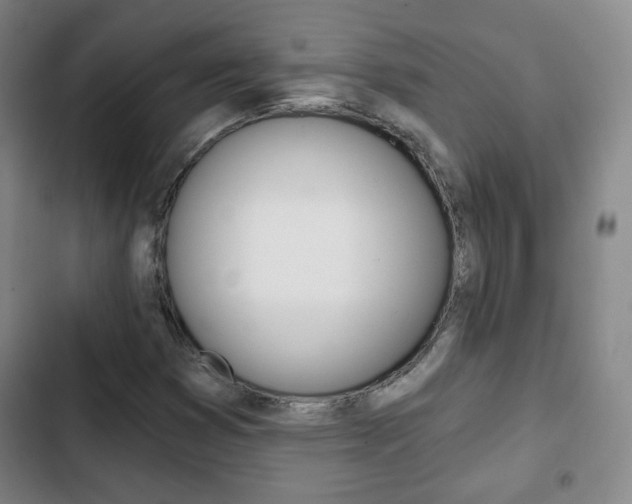 X0000103261353200808291033