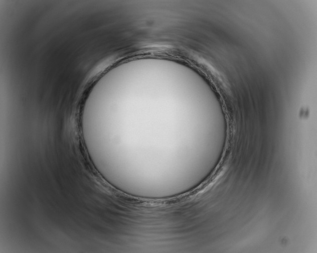 X0000103261354200808291033