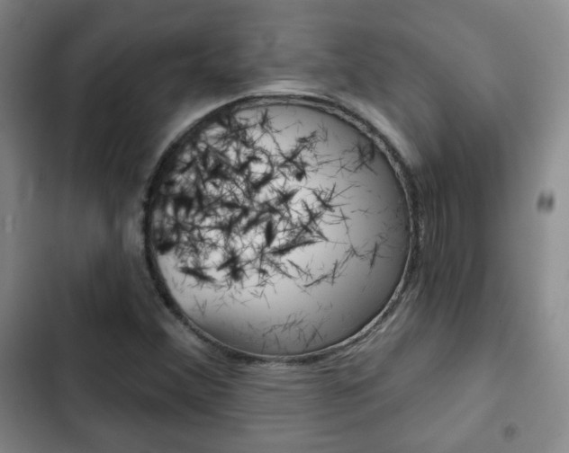 X0000103261356200808291033