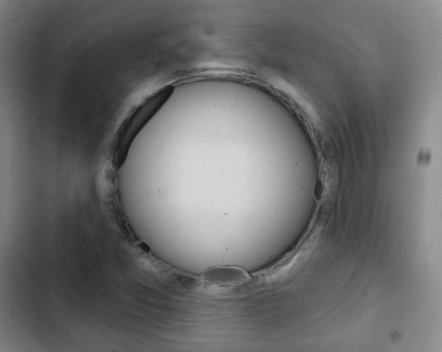 X0000103261357200808291033
