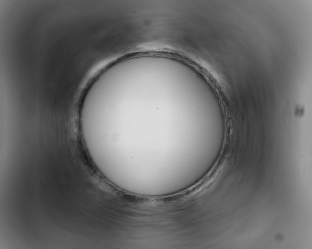 X0000103261358200808291033