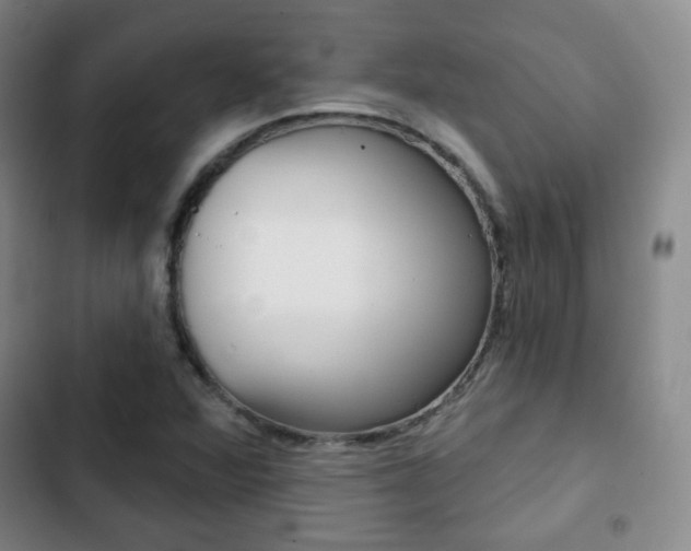 X0000103261360200808291033