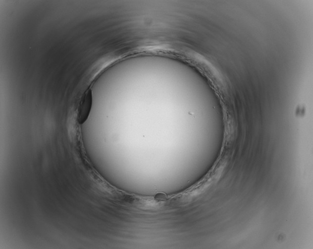 X0000103261361200808291033