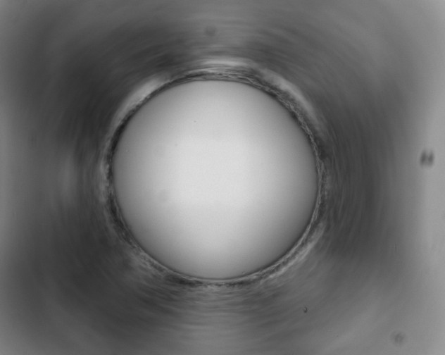 X0000103261362200808291033