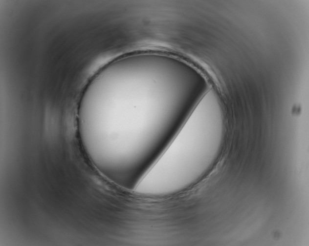 X0000103261363200808291033