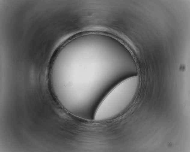 X0000103261364200808291033