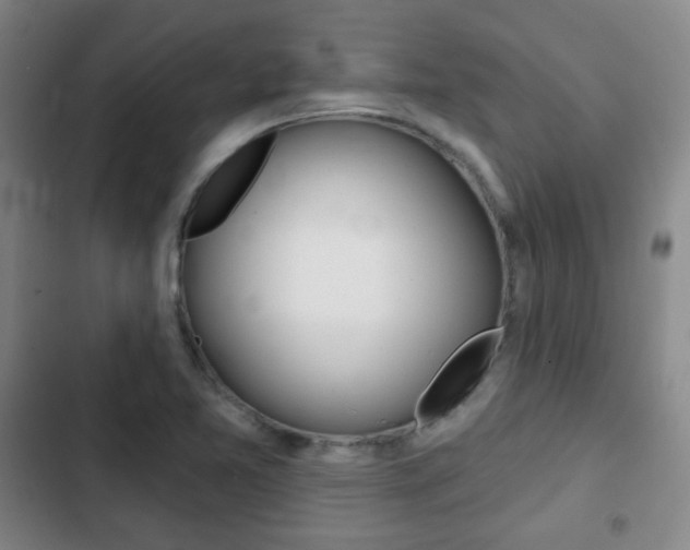 X0000103261365200808291033