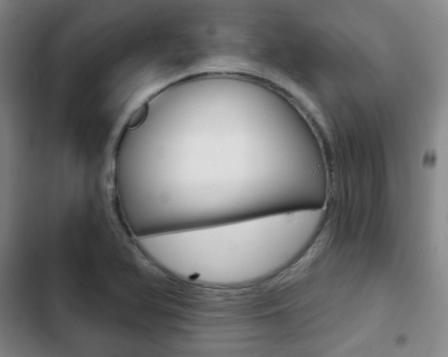 X0000103261366200808291033