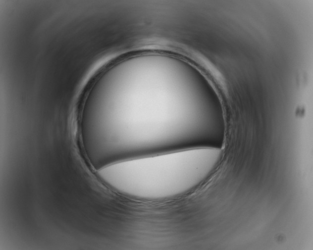 X0000103261368200808291033
