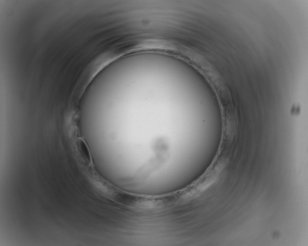 X0000103261369200808291033