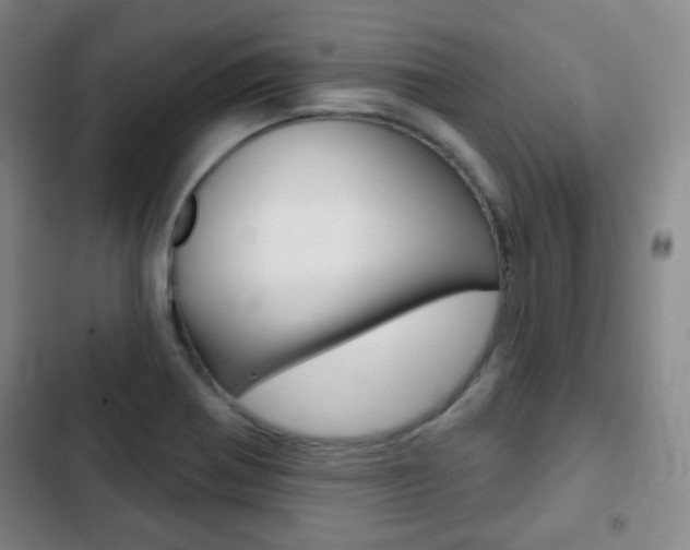 X0000103261370200808291033