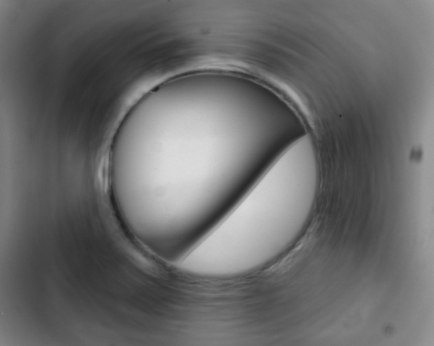 X0000103261371200808291033