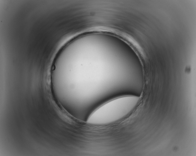 X0000103261372200808291033