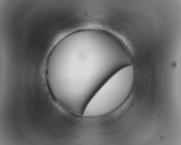 X0000103261374200808291033