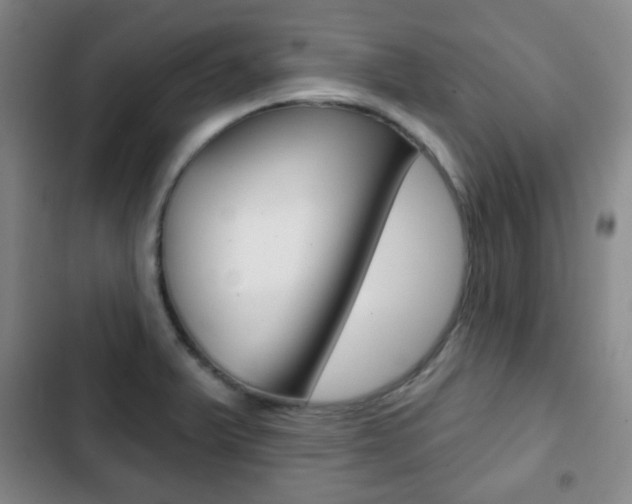 X0000103261375200808291033