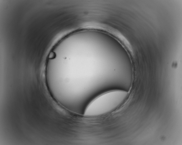 X0000103261376200808291033