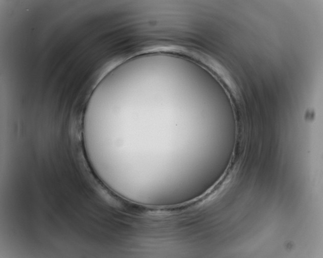 X0000103261377200808291033