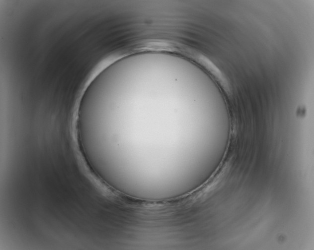 X0000103261378200808291033