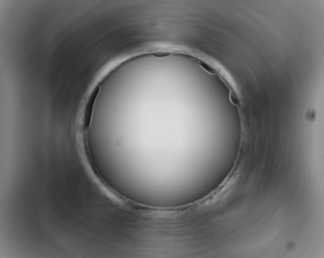 X0000103261381200808291033