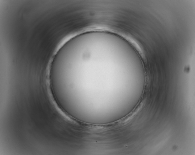 X0000103261382200808291033