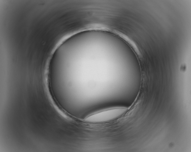 X0000103261383200808291033