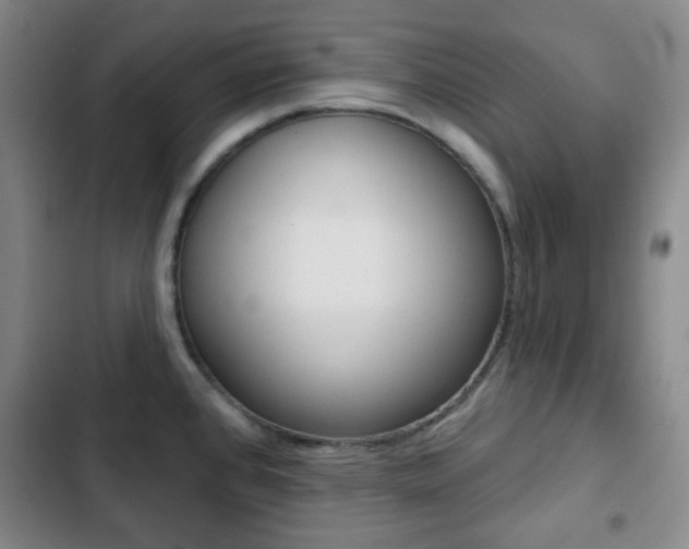 X0000103261384200808291033