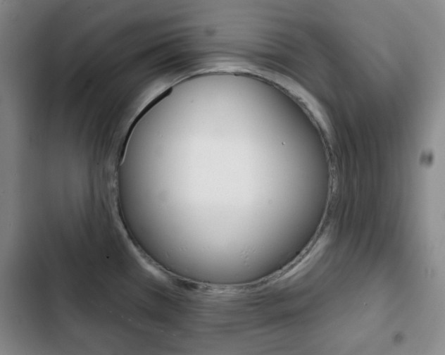X0000103261385200808291033