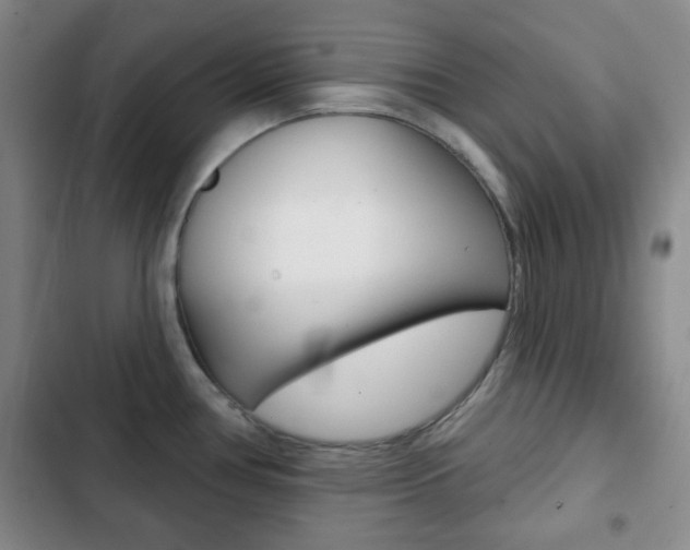 X0000103261386200808291033