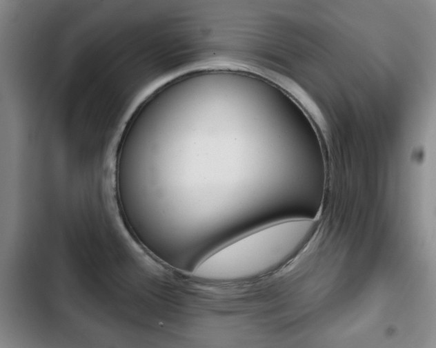 X0000103261388200808291032