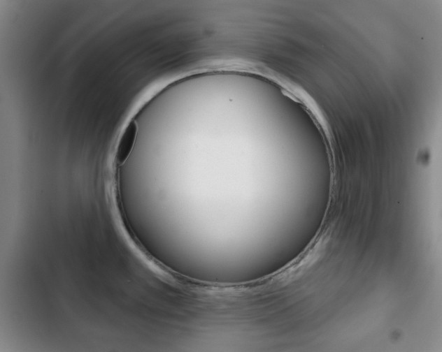 X0000103261389200808291032