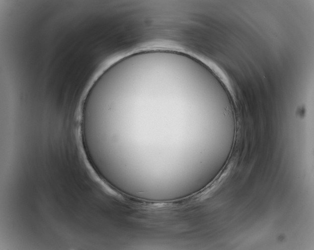 X0000103261390200808291032