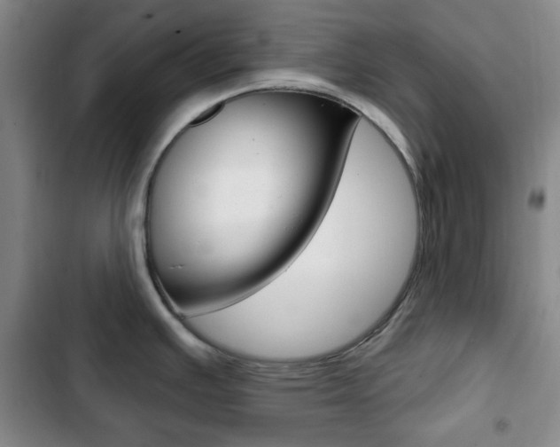 X0000103261391200808291032