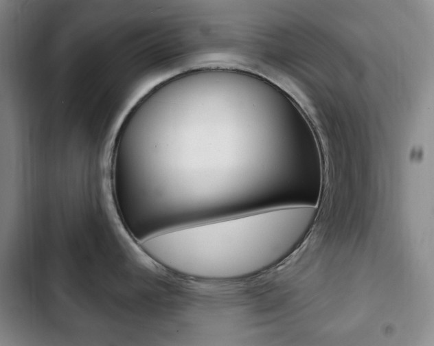 X0000103261392200808291032