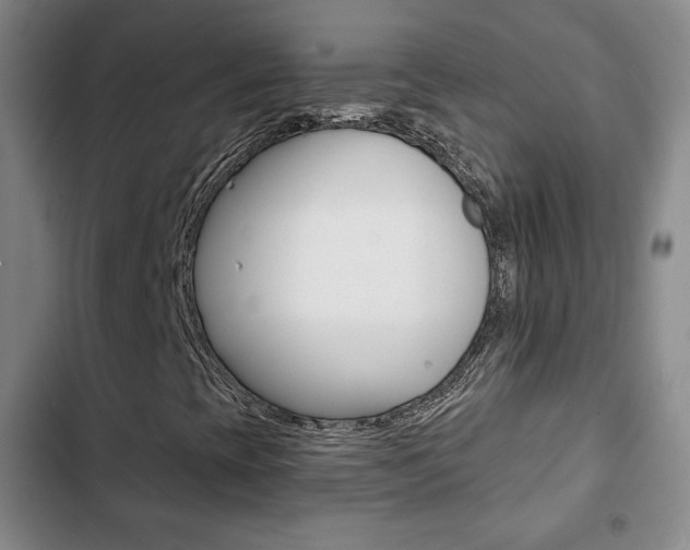 X0000103261393200808291032