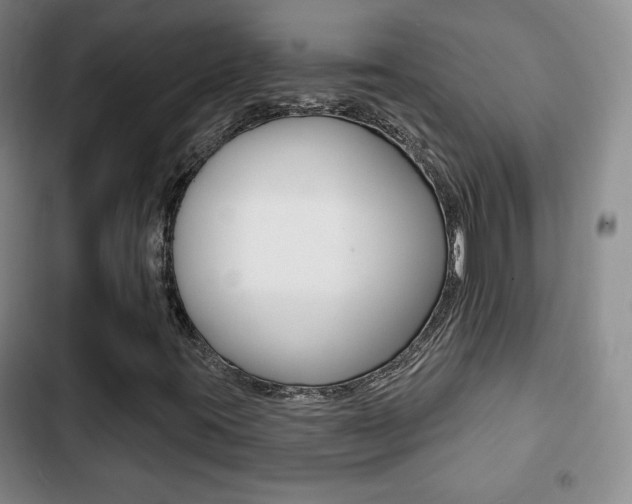 X0000103261395200808291032