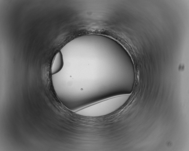 X0000103261396200808291032